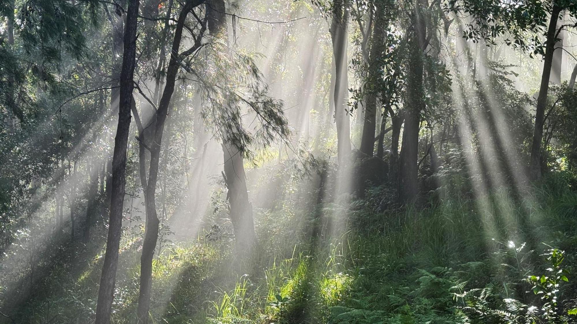 Heaven in the Hills Villa Maleny Buitenkant foto